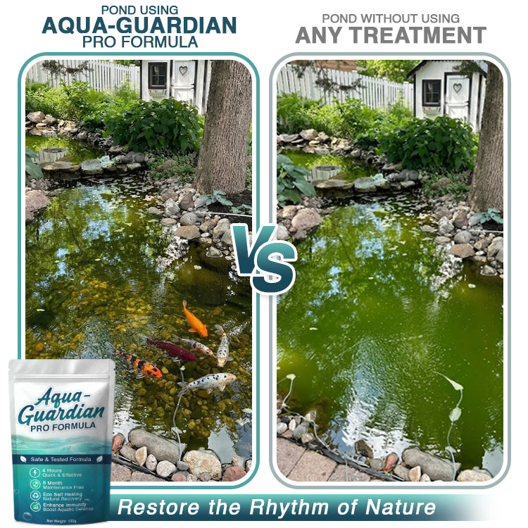 🌊 Avaleric® Aqua-Guardian Pro Formula —Clear Water in 24 Hours, Dual-Bio Algae Control, Safe for All Aquatic Life