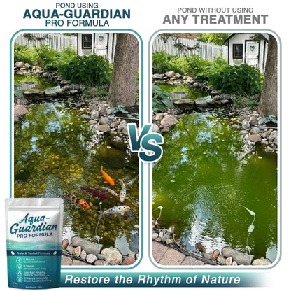🌊 Avaleric® Aqua-Guardian Pro Formula —Clear Water in 24 Hours, Dual-Bio Algae Control, Safe for All Aquatic Life