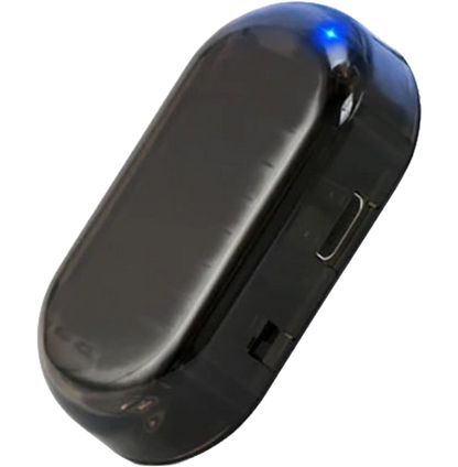 Orokuna® Anti-theft Car Flashing LED Fake Alarm